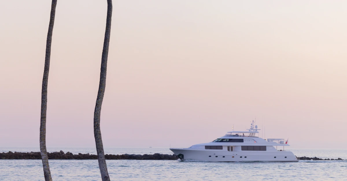 White yacht cruising on calm water at sunset with palm trunks in the foreground.
